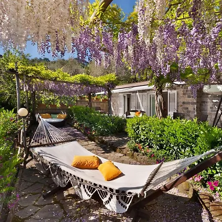 ホテル ブリストル